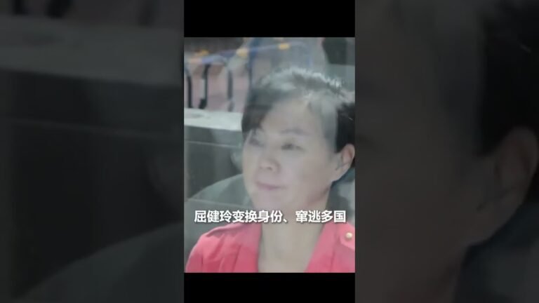 外逃27年的“红通人员”屈健玲被缉捕遣返回国！｜中国大陆　中国银行　广州　挪用公款　国际刑警组织　逃犯